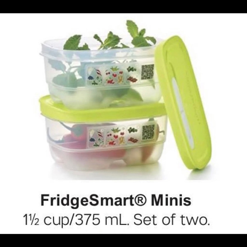 Fridgesmart minis